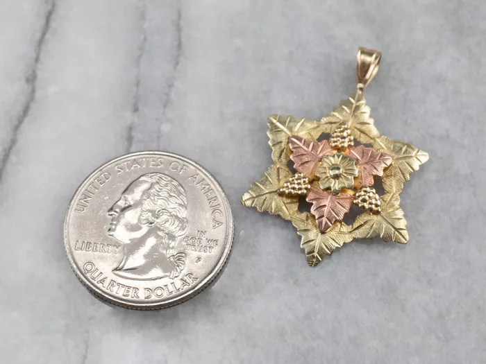 Market Square Jewelers Necklaces Black Hills Gold Botanical Star Pendant Market Square Jewelers Necklaces Black Hills Gold Botanical Star Pendant