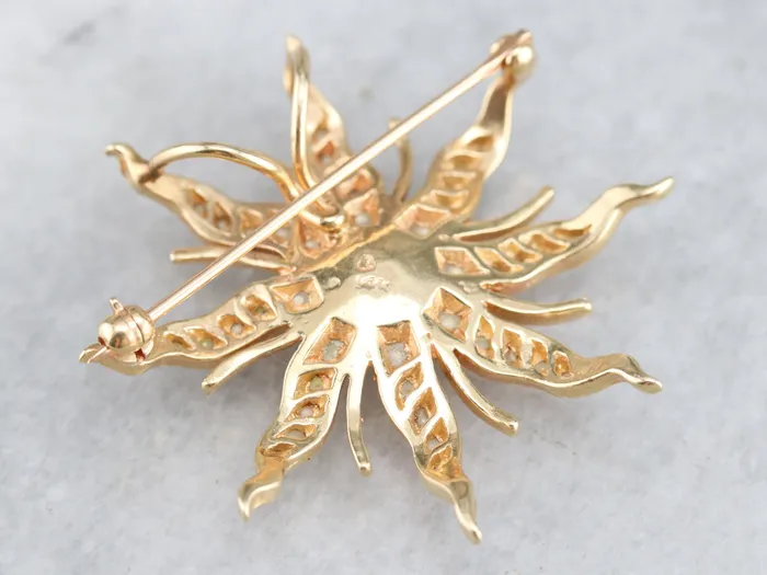 Victorian Diamond Pearl Starburst Brooch Market Square Jewelers Earrings Victorian Diamond Pearl Starburst Brooch Market Square Jewelers Earrings